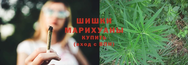 шишки Алзамай