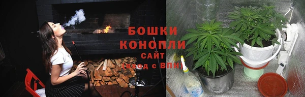 ПСИЛОЦИБИНОВЫЕ ГРИБЫ Абдулино