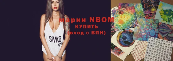 шишки Алзамай