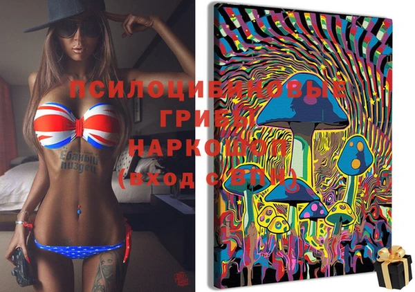 дурь Алексеевка