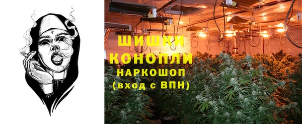 дурь Алексеевка