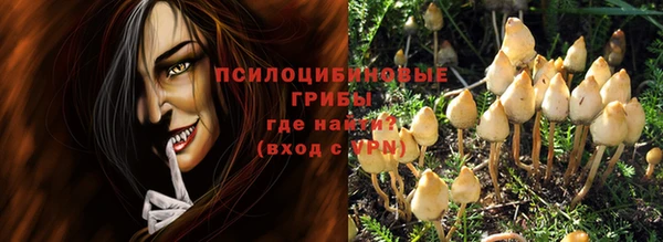 ПСИЛОЦИБИНОВЫЕ ГРИБЫ Абдулино