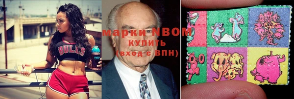 шишки Алзамай