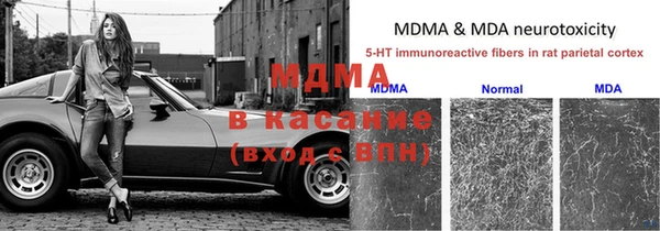 ПСИЛОЦИБИНОВЫЕ ГРИБЫ Алексин