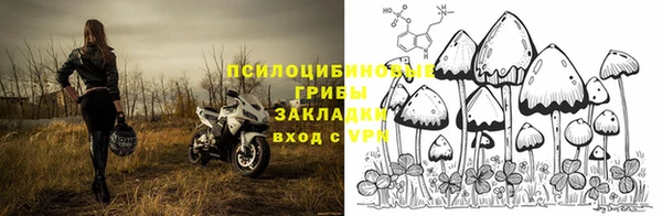 шишки Алзамай
