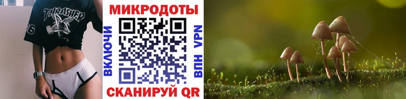 Галлюциногенные грибы Psilocybine cubensis  Починок 